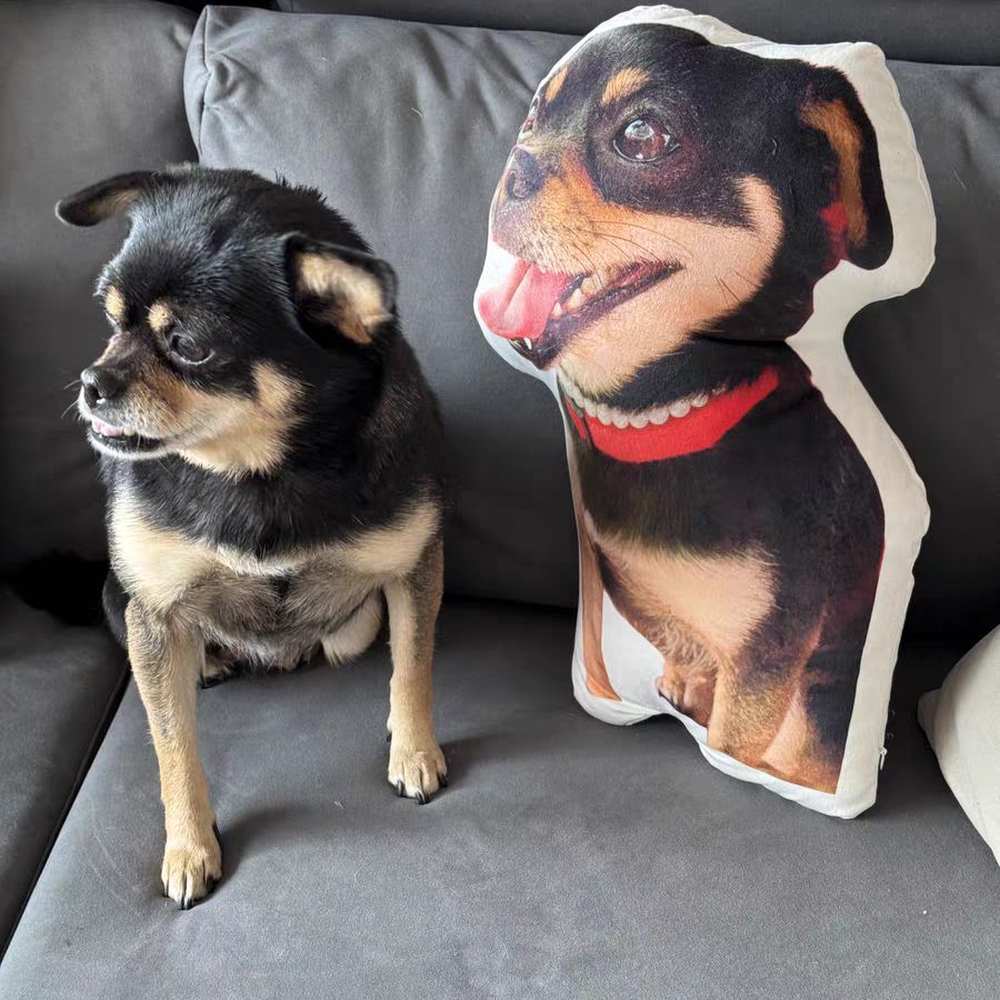 Custom Pet Pillow Display – A Dog and Its Identical Pillow Lookalike