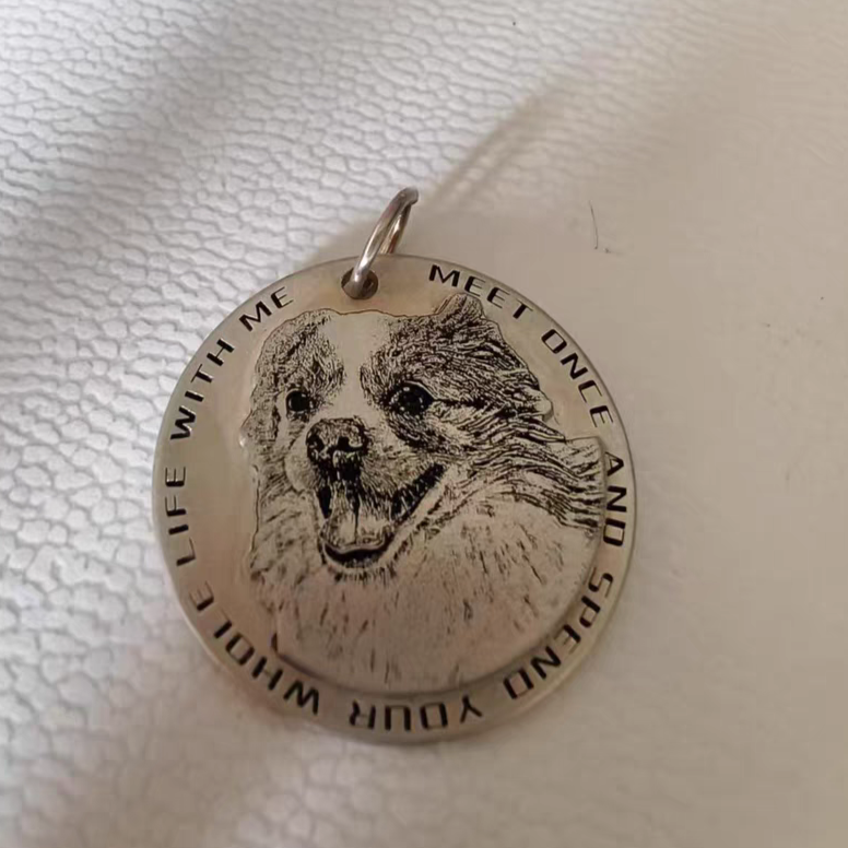 Custom Silver Pet Tag