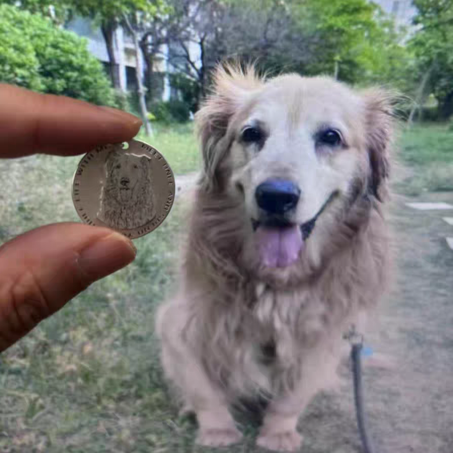 Custom Silver Pet Tag