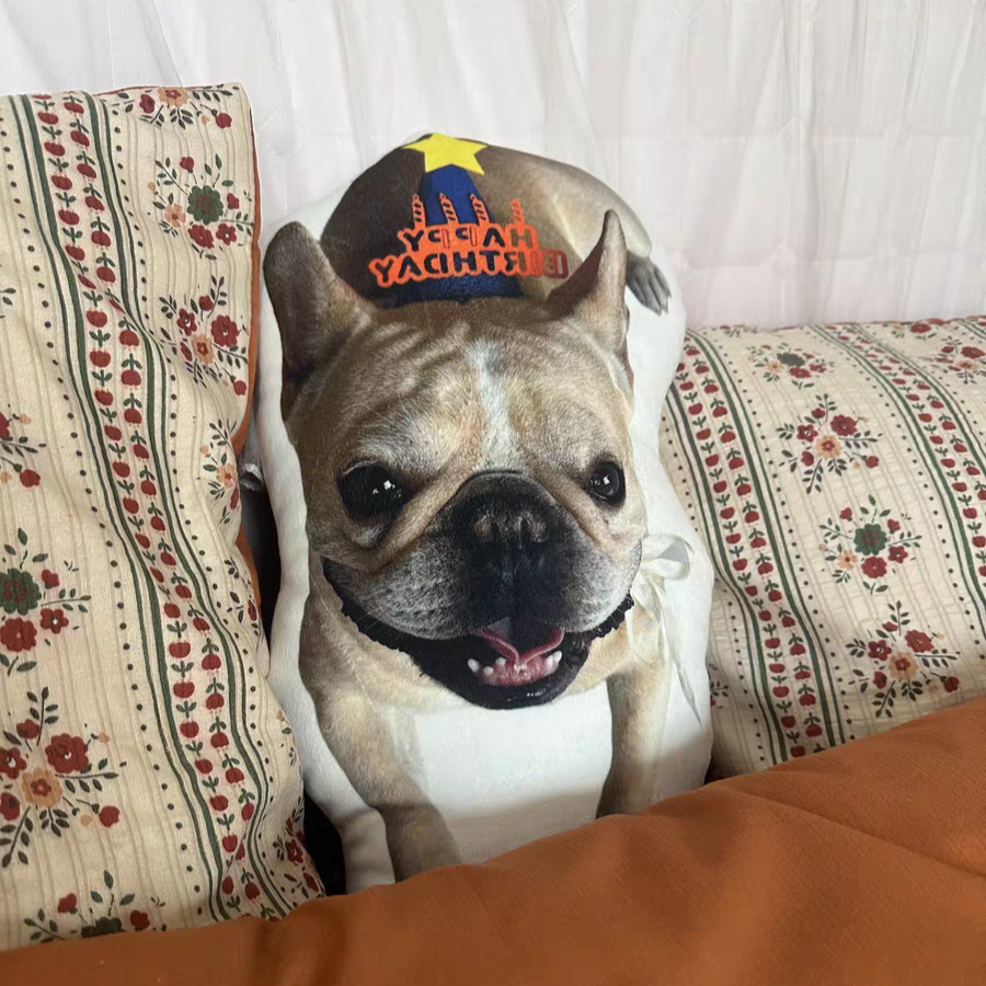 Custom Pet Pillow Display – Ultra-Realistic Dog Pillow