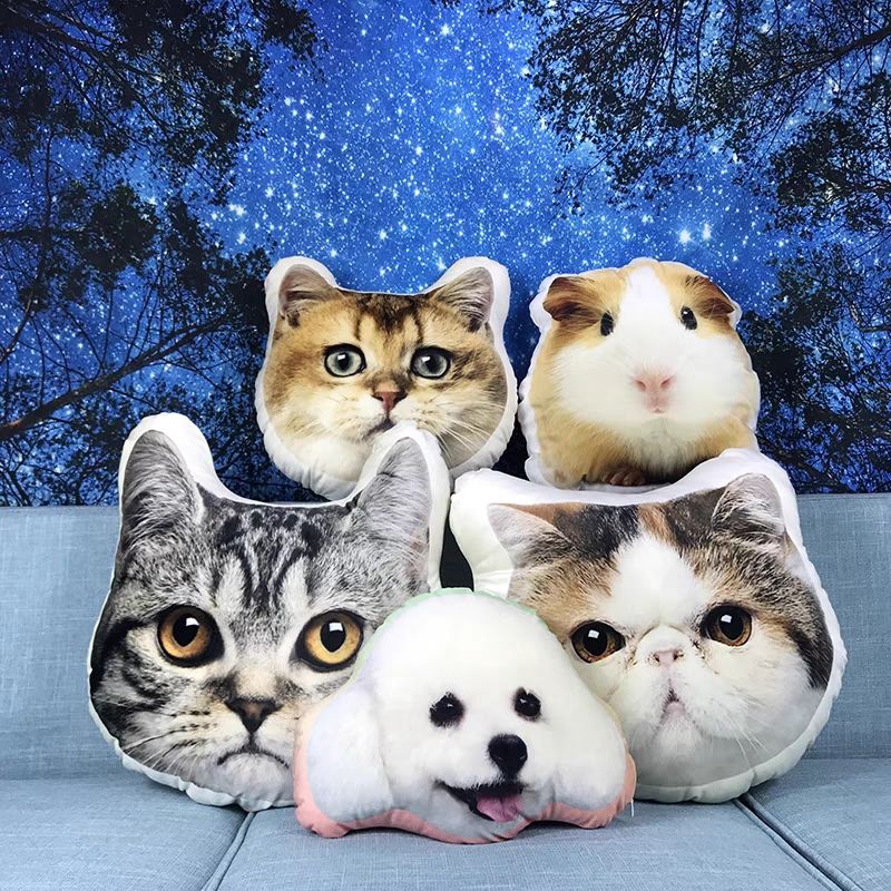 Custom Pet Pillow Display – Dogs, Cats, Mice, Big Head Photo Customization