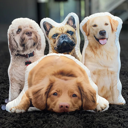 Custom Pet Pillow Display – Golden Retriever Photo Pillow

